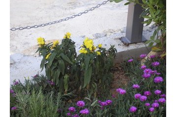 Horvátország Privát Donji Karin, Exteriőr